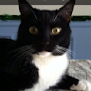 Meet your Posher, Amy